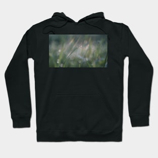 Raindrop on a Blade of Grass Hoodie